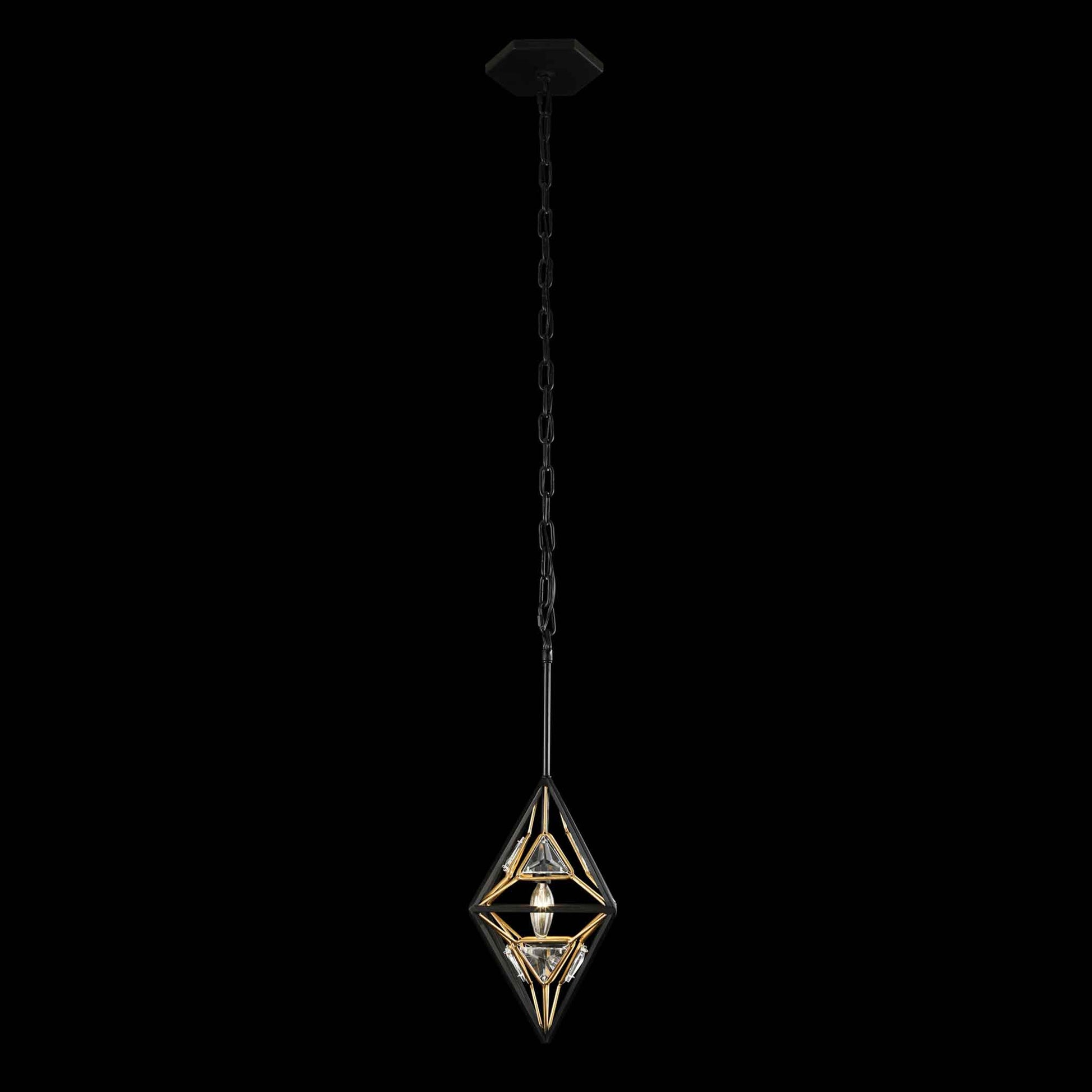 1 light 10 inch black and gold pendant